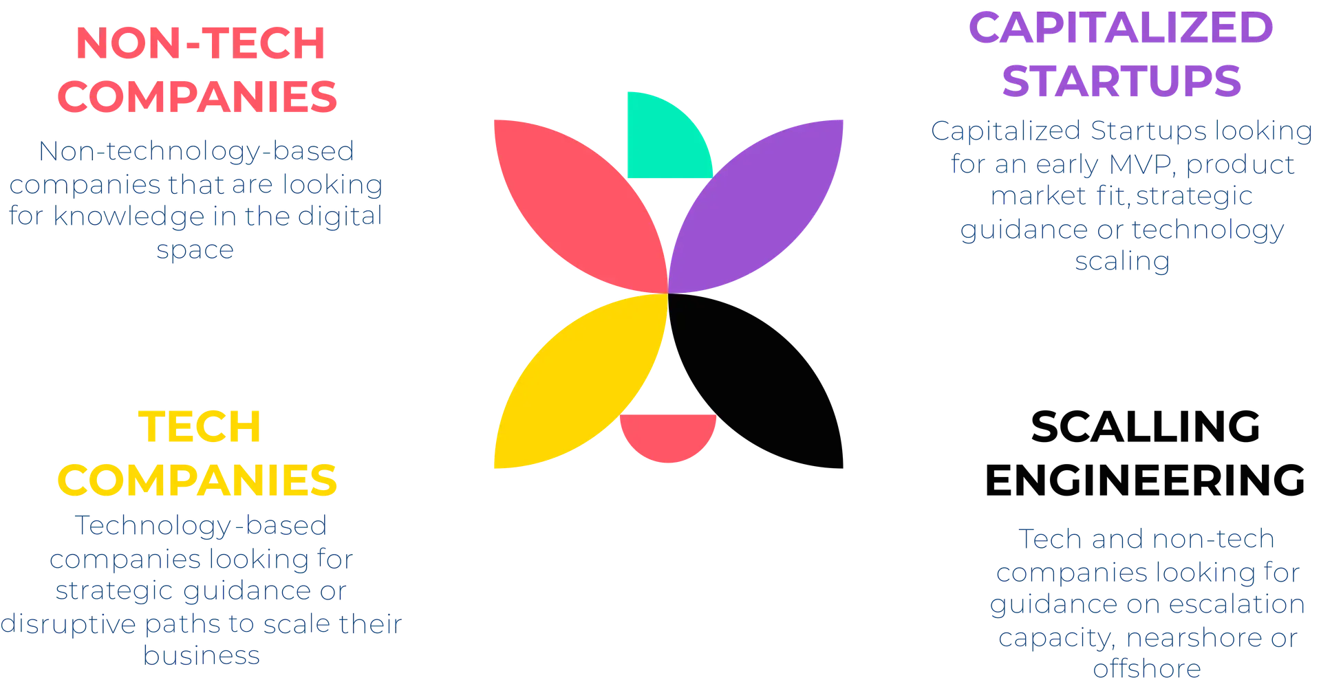 Are you a Non-Tech company, Capitalized Startup. Tech Company or in need to scale your engineering capacity?